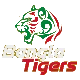 Bangla Tigers
