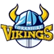Yorkshire Vikings 